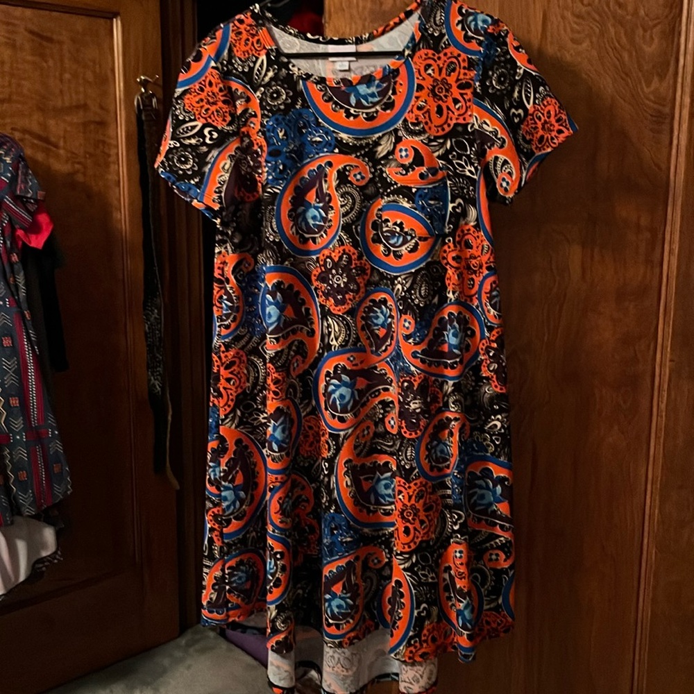 Lularoe Paisley Carly Dress size L